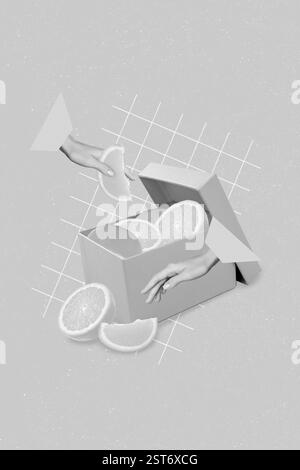 Vertikales Collagenbild von schwarzen weißen Gamma-Händen Halten Sie den geöffneten Kasten mit orangefarbenen Fruchtschichten gedrückt, die auf dem Zeichnungshintergrund isoliert sind Stockfoto