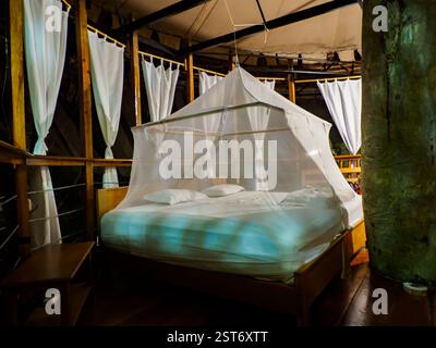 Riesiges Bett mit weißem Moskitonetz. Glamouröse Unterkunft im Regenwald des Amazonas. Holzhaus, Amazonas Regenwald, Amazonien, Pacaya Samiria Nati Stockfoto