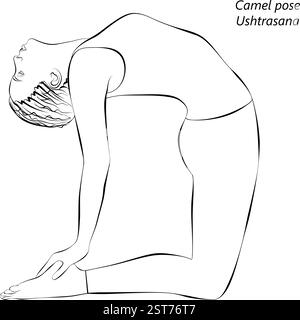 Skizze einer jungen Frau, die Ushtrasana-Yoga-Pose praktiziert. Kamelstellung. Isolierte Vektordarstellung. Stock Vektor