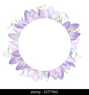Schneeglöckchen und Krokusse runder Rahmen isoliert auf weiß. Violette und weiße Frühlingsblumen mit grünen Blättern. Handgezeichnete Komposition im Aquarellstil Stockfoto
