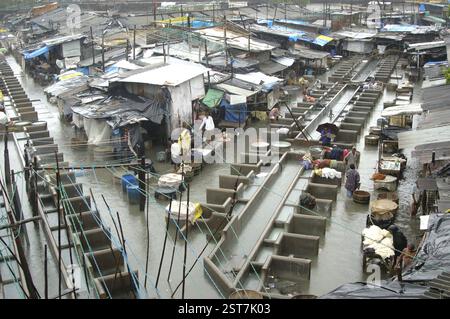 Überschwemmung durch starken Regen, Monsun, Weltrekordregen in Bombay jetzt Mumbai, Maharashtra, Indien, Asien Stockfoto