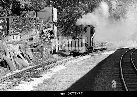 "Elidir" -Shunt an der Gilfach DDU. Stockfoto