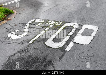 Verblichenes weißes STOPPSCHILD auf gerissener Asphaltstraße mit Abnutzung und grünem Moosbewuchs. Urbaner Verfall. Veraltete Infrastruktur. Diagonalwinkel Stockfoto