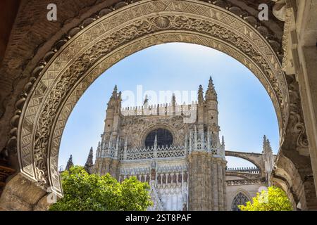 Kathedrale von Sevilla, Kathedrale der Heiligen Maria vom See in Sevilla, Andalusien, Spanien, Europa. Gotische Kathedrale durch kunstvollen Bogengang. Stockfoto