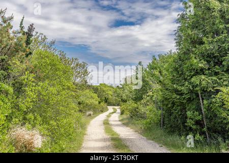 Abschnitt einer Schotterstraße auf der östlichen Long Island Stockfoto