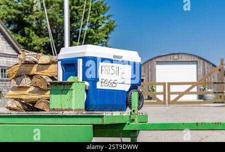 Einfache Bauern am Straßenrand verkaufen Brennholz und frische Eier an der Nordgabel Stockfoto