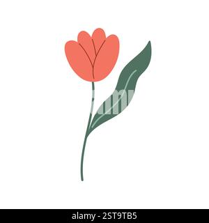 Rote Tulpenblüte im Doodle-Stil. Rote Mohnblume. Vektor-Cartoon-Illustration isoliert auf weiß. Zeichentrickstil. Vektor-handgezeichnete Umrissdarstellung. Symbol der Türkei Stock Vektor
