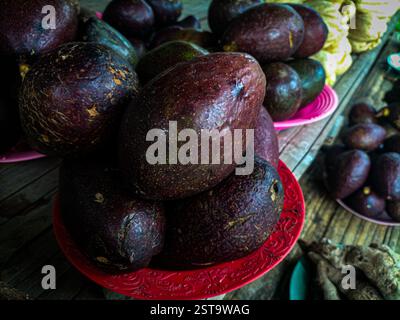 Nahaufnahme von Reifen dunkelvioletten Avocados, die auf einem traditionellen Markt ausgestellt werden. Die raue Hautstruktur und natürliche Unreinheiten betonen ihre Frische und Frische Stockfoto
