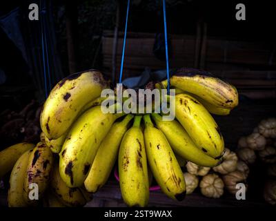 Nahaufnahme von Reifen gelben Bananen, die in einem Haufen auf einem traditionellen Obstmarkt hängen. Die Bananen zeigen natürliche dunkle Flecken, die ihre Frische und Frische hervorheben Stockfoto