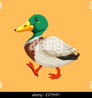 Ente Vogel Illustration schönes Bild Stock Vektor