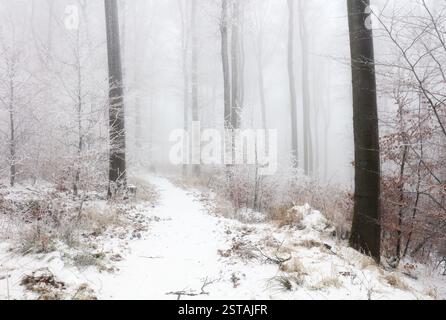Verschneite Winterstraße, Fantasy-Waldlandschaft Stockfoto