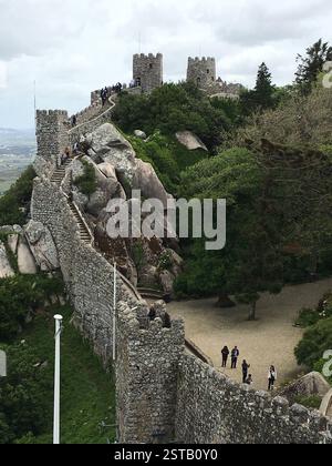 Schloss auf einem Hügel, Treppe führt zum Schloss. Üppige grüne Umgebung, beliebtes Touristenziel, Symbol für Portugals reiche Geschichte. Stockfoto