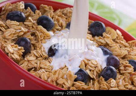Schüssel mit Müsli, Boysenbeeren und Milch Stockfoto