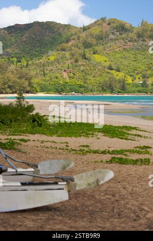 Katamaran wartet am Strand Stockfoto
