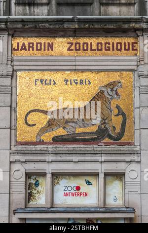 Ein Mosaik eines Kampfes zwischen einem Tiger und einer Kobra am Eingang zum Zoo Antwerpen in Belgien, der 1843 gegründet wurde und einer der ältesten Zoos der Welt ist Stockfoto