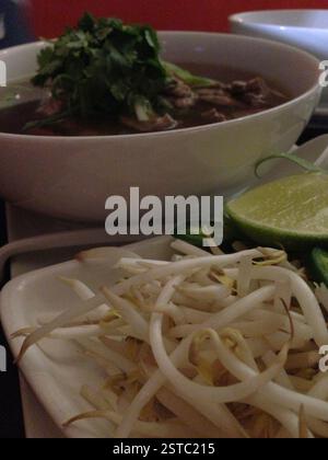 Dampfende vietnamesische Nudelsuppe mit Rindfleisch und frischen Zutaten. Eine köstliche und gesunde Mahlzeit. Beruhigende Schüssel Pho, Miami. Stockfoto