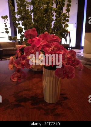 Pinkfarbene Orchideen zieren einen Holztisch in Miami. Ein Mittelpunkt des Frühlings. Stockfoto