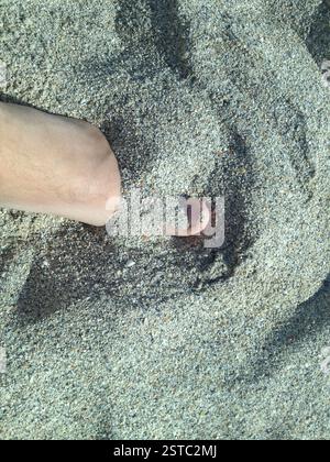 Fuß im Sand begraben Miami. Entspannung am Meer. Ein verborgener Schatz. Sandige Zuflucht in Miami. Jemand versteckt seine Identität am Miami Beach. Stockfoto