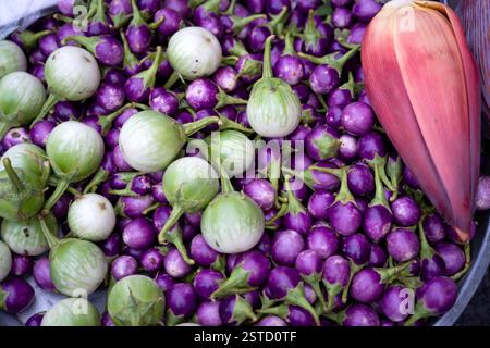 Ein lebhafter Markt mit einem Haufen kleiner lila Auberginen, größeren grünen Thai Auberginen und einer frischen roten Bananenblüte. Stockfoto