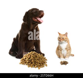 Katze und Hund in der Nähe von Haufen von Tierfutter auf weißem Hintergrund Stockfoto