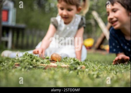 Junge und Mädchen, Bruder und Schwester, spielen in einem Garten und beobachten Schnecken in ihren Muscheln im grünen Gras im Hinterhof. Stockfoto