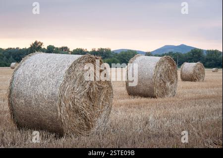 Heuballen auf einem Feld bei Sonnenuntergang, Ungarn Stockfoto