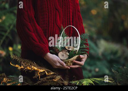 Eine Person in einem gemütlichen roten Pullover steht in einem lebhaften Wald und hält einen Korb voller Pilze und Farne, umgeben von sattem Grün Stockfoto
