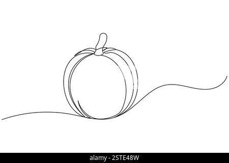 Kürbis durchgehende, einzeilige Zeichnung und minimalistischer Stil isolieren die Vektorgrafik der Umrisse Stock Vektor