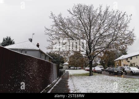 Eine ruhige urbane Straßenszene mit einem großen Baum und geparkten Autos, die mit Schnee bedeckt sind. Häuser säumen die Straße, ihre Dächer sind mit einem leichten schneebedeckten Blan bedeckt Stockfoto
