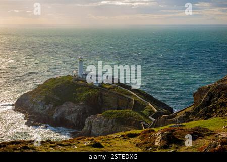 Blick auf den South Stack Lighthouse auf dem Gipfel einer kleinen Insel vor der Nordwestküste von Holy Island, Anglesey, Wales, Großbritannien, wurde 1809 erbaut. Stockfoto