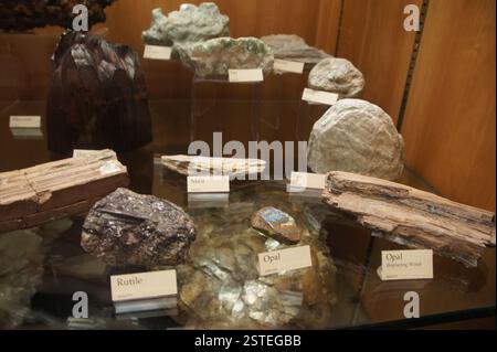 Vitrine aus Kristall gefüllt mit verschiedenen bunten Steinen und Mineralien. Glimmer, Opal und Rutil sind beschriftet. Geologische Proben heben das natura der Erde hervor Stockfoto