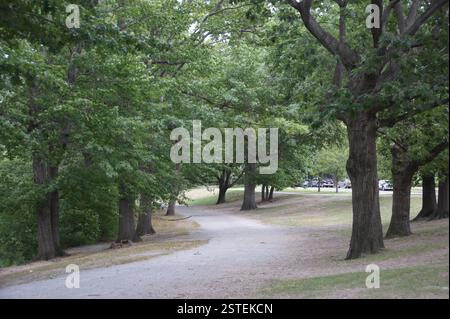 Parkpfad schlängelt sich durch Boston. Bäume säumen beide Seiten eines Kiesweges. Sonnenlicht filtert durch die Blätter und wirft schattige Schatten auf den Boden. E Stockfoto