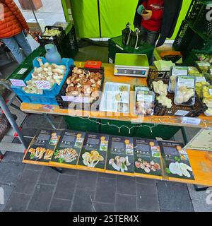 Ein Marktstand für frische Produkte mit einer großen Auswahl an bunten Pilzen und mehr Stockfoto