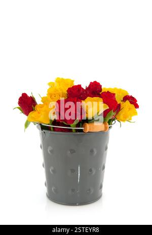 Eimer mit Rosen Stockfoto