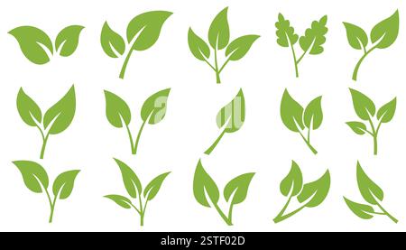 Grüne Blattsymbole gesetzt. Leaves-Symbol. Elements Design für natürliche, umweltfreundliche, vegane, Bio-Etiketten oder Logos. Stock Vektor