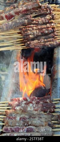 Feuerflecken und die Fleischspieße, die ARROSTICINI genannt werden, sind ein typisches Gericht der Abruzzen in Mittelitalien Stockfoto