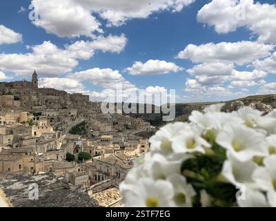 Erleben Sie die atemberaubende Landschaft von Matera, Italien, wo historische Steinbauten vor dem Hintergrund lebendiger Wolken und blühender Blumen aufragen. Stockfoto