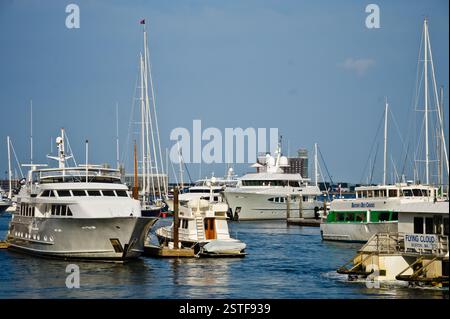 Hafen Von Boston. Mehrere Yachten und Boote legten an einem sonnigen Tag im Yachthafen an. Das Wasser ist ruhig und der Himmel ist klar. Boston ist bekannt für seine Schönheit Stockfoto