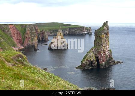 Seestapel in Duncansby Head, Schottland Juli Stockfoto