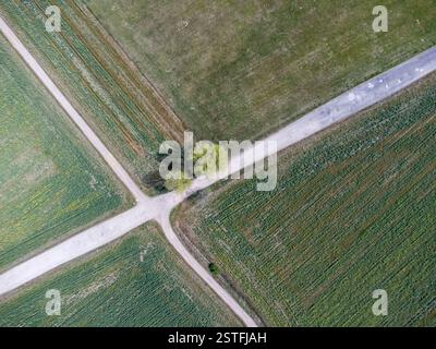 Luftaufnahme der landwirtschaftlichen Felder,. Ländliche Landschaft. Italien Stockfoto