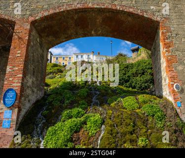 London, Großbritannien - 1. Mai 2023: Blick auf die Cascade Gardens in der Küstenstadt Ventnor auf der Isle of Wight, Großbritannien. Stockfoto