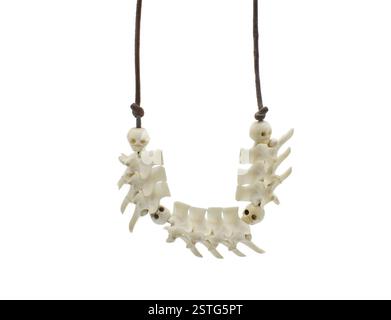 Halskette mit Wirbel oder Wirbeln aus Knochen einer toten auf der Straße adulten östlichen Rautenklapperschlange - crotalus adamanteus - von Roadkill oder DOR, l Stockfoto