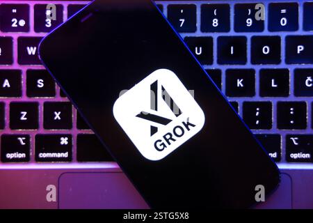 Zagreb, Kroatien. Februar 2025. Eine Abbildung zeigt das LOGO eines Grok X AI 3 auf einem Smartphone in Zagreb, Kroatien, am 18. Februar 2025. Foto: Igor Kralj/PIXSELL Credit: Pixsell/Alamy Live News Stockfoto