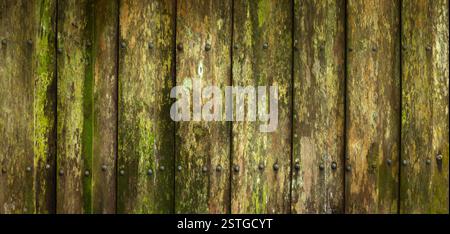 Nahaufnahme von schönen schimmeligen Hintergründen Stockfoto