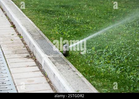Sprinkleranlage für frisches grünes Gras Stockfoto