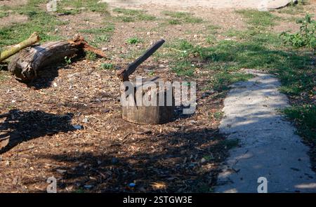 Alten Axt im Baumstumpf auf dem Hinterhof Stockfoto