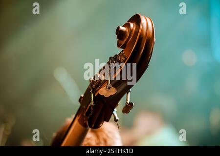 Nahaufnahme eines Kontrabass-Kopfhörers auf der Bühne mit warmer Beleuchtung. Der Fokus liegt auf den Stimmknöpfen, mit einem unscharfen Hintergrund einer Konzertumgebung. Stockfoto
