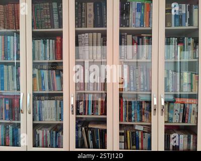 Vollformatansicht eines großen, organisierten Bücherregals mit Glastüren gefüllt mit verschiedenen Büchern, die Bildung, Forschung und Wissen widerspiegeln Stockfoto