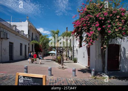 Charmante Straße in Montevideo mit einer Mischung aus kolonialen und modernen Einflüssen Stockfoto