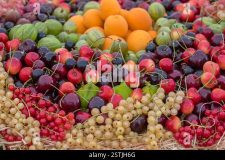 Gemischte Beeren Stockfoto